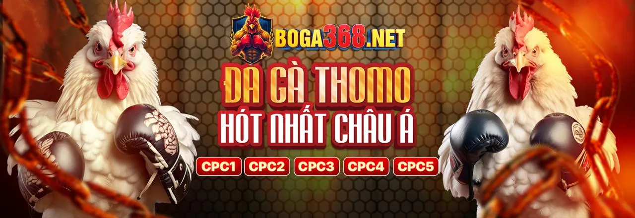 Đá gà trực tuyến đỉnh cao tại nem88