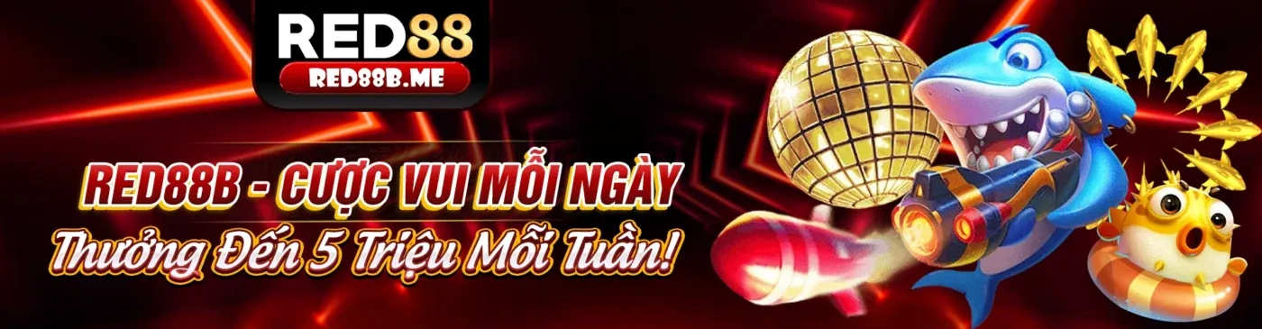 Cách nem88 thu thập thông tin người dùng